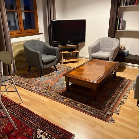 Appartement Authentique Centre Historique 科尔马 外观 照片