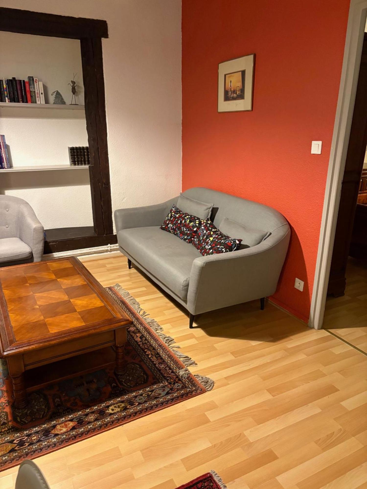 Appartement Authentique Centre Historique 科尔马 外观 照片