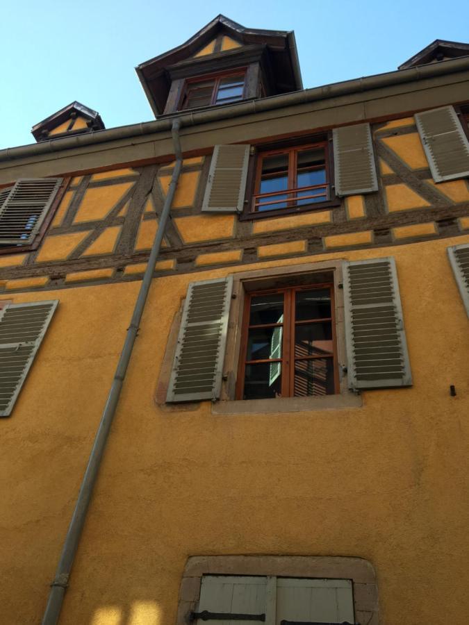 Appartement Authentique Centre Historique 科尔马 外观 照片